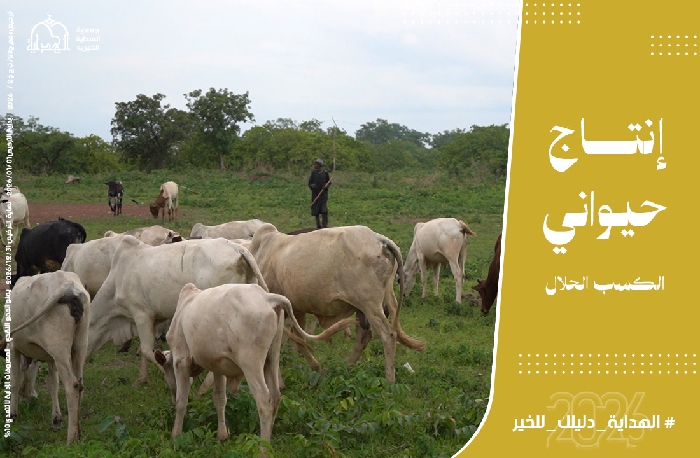 صورة مزرعة أبقار