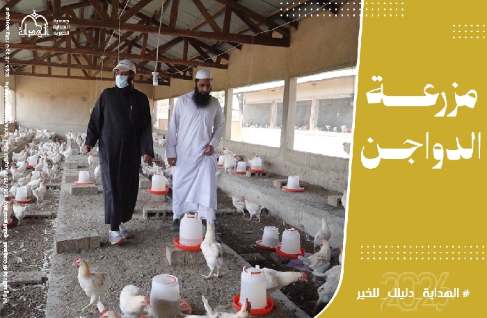 صورة مشروع مزرعة الدواجن