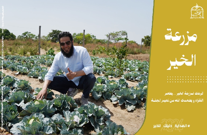 صورة مشروع مزرعة الخير