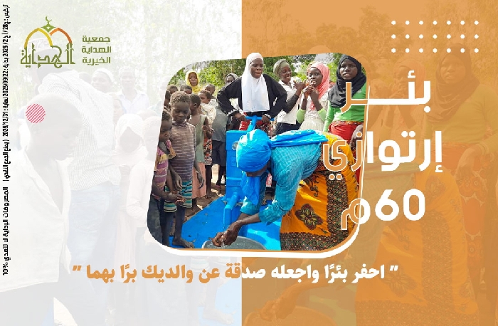 صورة بئر إرتوازي 40م