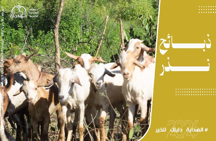 صورة ذبائح نذر